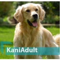 Сухой корм для собак Quicker Kani Adult Lamb 10 кг