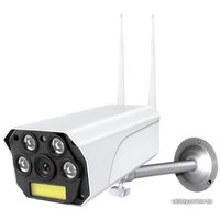 IP-камера Ritmix IPC-270S