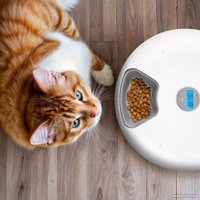 Кормушка электронная Kitfort КТ-2079