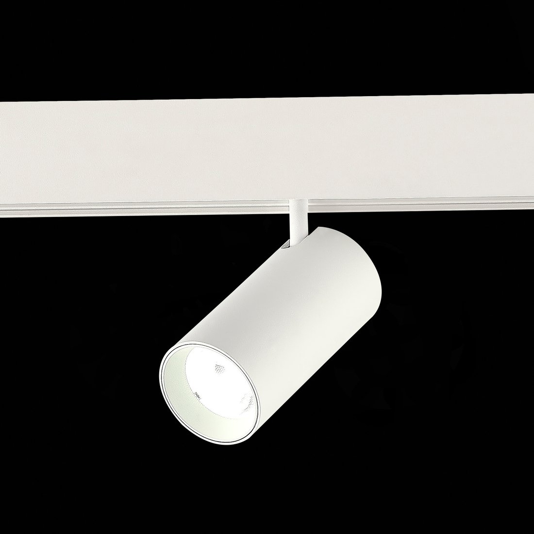 

Трековый светильник ST Luce Smart ST375.506.12