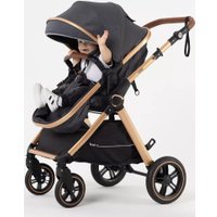 Универсальная коляска Rant Basic Roller Gold RA161 (2 в 1, grey)