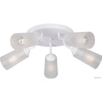 Припотолочная люстра Vitaluce V3762-0/5PL