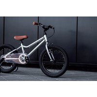 Детский велосипед Lenjoy Sports Silver Ghost 16 LS16-13S (серый)