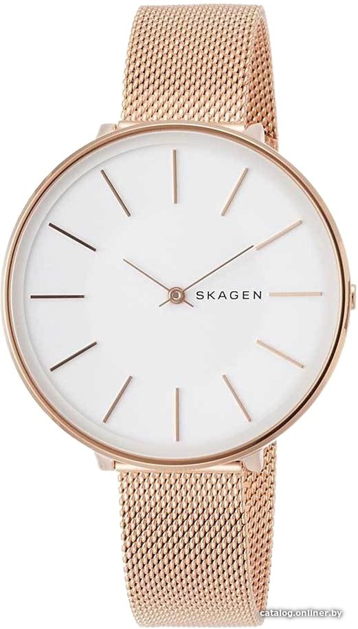 Наручные часы Skagen SKW2688