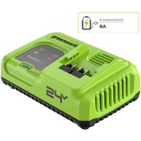 Зарядное устройство Greenworks G24C8 2958707 (24В)