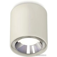 Точечный светильник Ambrella light Techno spot XS7724003 SGR/PSL