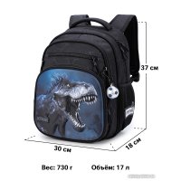 Школьный рюкзак SkyName R3-277 + брелок мячик