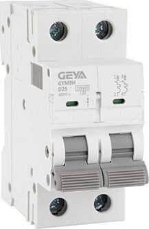

Выключатель автоматический GEYA GYM9H-2P-25D 2P 25A D 10kA 2M GYM9H2P25D