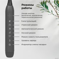 Электрическая зубная щетка Evolution TB-01