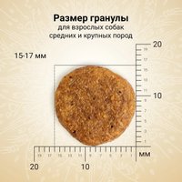 Сухой корм для собак Craftia Natura для средних и крупных пород с курицей и индейкой (640г)