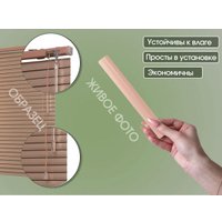 Жалюзи горизонтальные АС МАРТ 330 100x160 (персиковый)