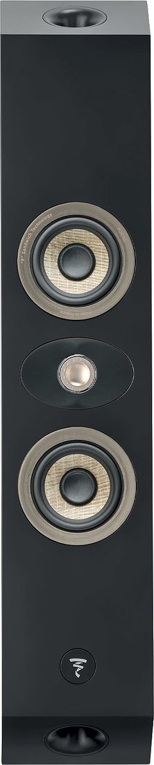 

Focal On Wall 301 (черный)