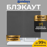 Рулонные шторы Sundays Home LM 167-07 160х170 (темно-серый)