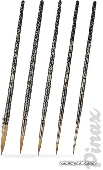 Набор кистей Pinax Artists Hi-Tech set19-5pc (5 шт)