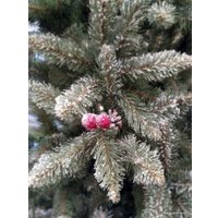 Ель GreenTerra Ариозо, эффект инея 1.5 м