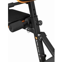 Силовая скамья Alpin Junior G-18