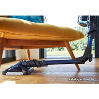 Пылесос Tefal TY9890WO