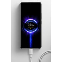 Кабель Xiaomi 120W USB Type-C - USB Type-C BHR087AGL (2 м, белый)