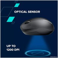 Мышь Canyon MW-04 (черный)