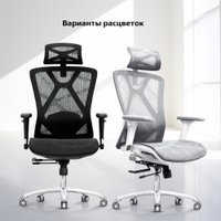 Офисное кресло Evolution Exo F1 Mesh Black (черный)