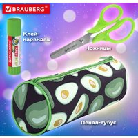 Набор школьника BRAUBERG Подарочный 880951 (43 предмета)