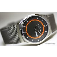 Наручные часы Skagen SKW6007