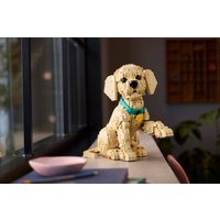Конструктор LEGO Icons 11384 Щенок золотистого ретривера