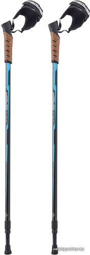 Палки для скандинавской ходьбы Berger Nimbus 77-135 (черный/голубой)