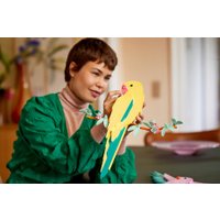 Конструктор LEGO Art 31211 Коллекция фауны - Попугаи Ара