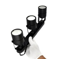 Спот TruEnergy 21356 (с лампами General Lighting 661462 3шт)