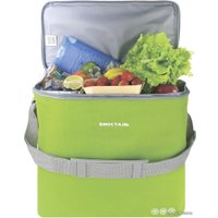 Термосумка БИОСТАЛЬ Кантри TCD-G 30л (зеленый лайм)