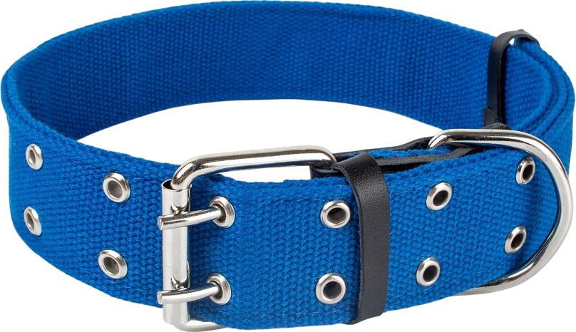 

Ошейник Zoonik 10177-3 (синий)