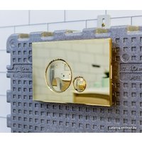 Панель смыва OLI Globe 152954 (золотистый)