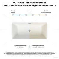 Ванна Wellsee Pure BY Wellsee 166x77 230703001 (отдельностоящая ванна белый глянец/матовый черный, экран, ножки, сифон-автомат хром)