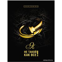 Общая тетрадь BG Я не такой как все A5 ТТ5к160_лм_оф 10105 (160 л) в Мозыре