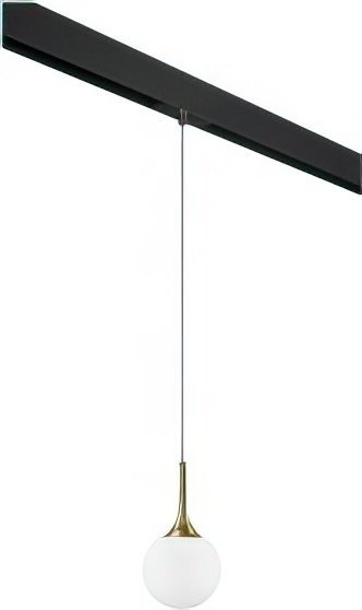 

Подвесная люстра Lightstar Globo PRO813013