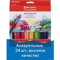 Набор цветных карандашей BRAUBERG Академия 181400 (24 шт.)