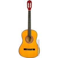 Акустическая гитара Belucci BC3805 OR