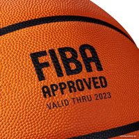 Баскетбольный мяч Wilson Evo Nxt WTB0965XB7 (7 размер)