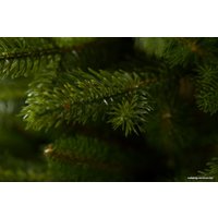 Ель GreenTerra Аляска темная 1.2 м