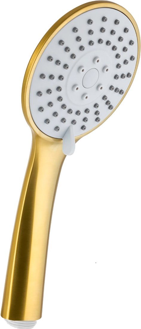 

Душевая лейка Armatura Moza Gold 842-065-31