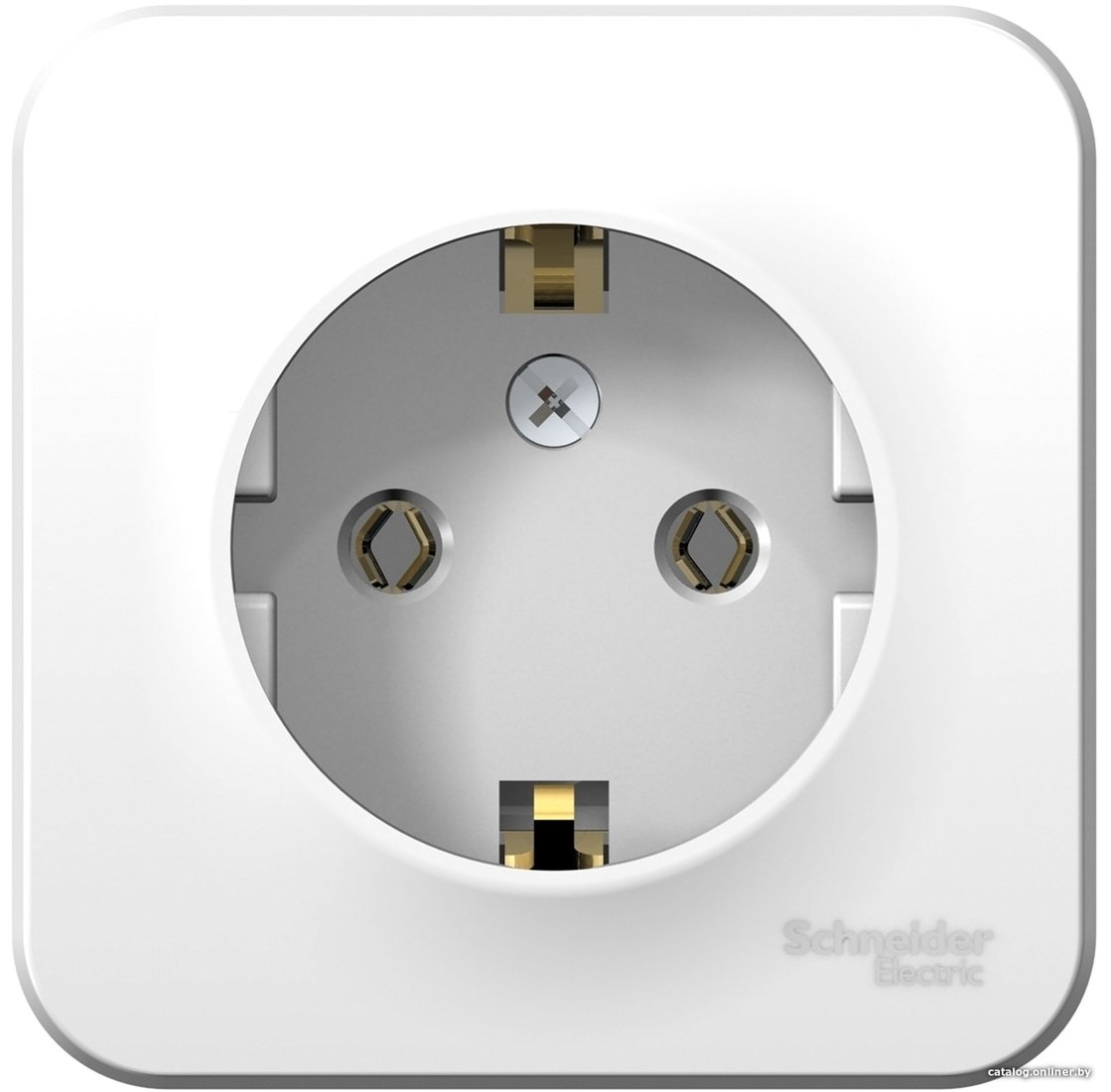 Розетка Schneider Electric BLNRA010101