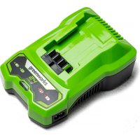 Зарядное устройство Greenworks G24C4 (24В)