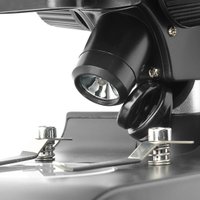 Детский микроскоп Микромед Атом B20x 31903