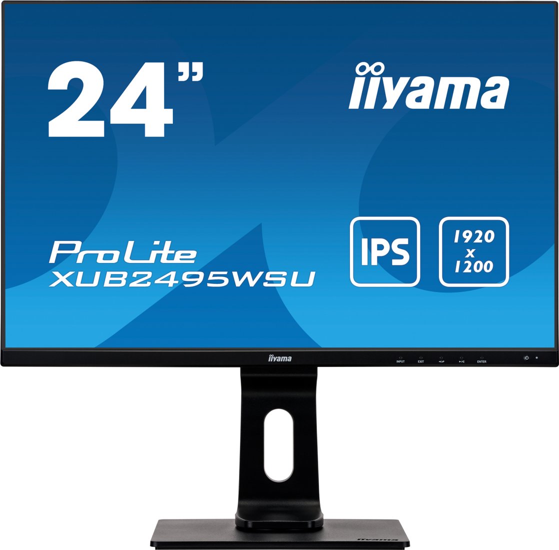 

Монитор Iiyama ProLite XUB2495WSU-B4