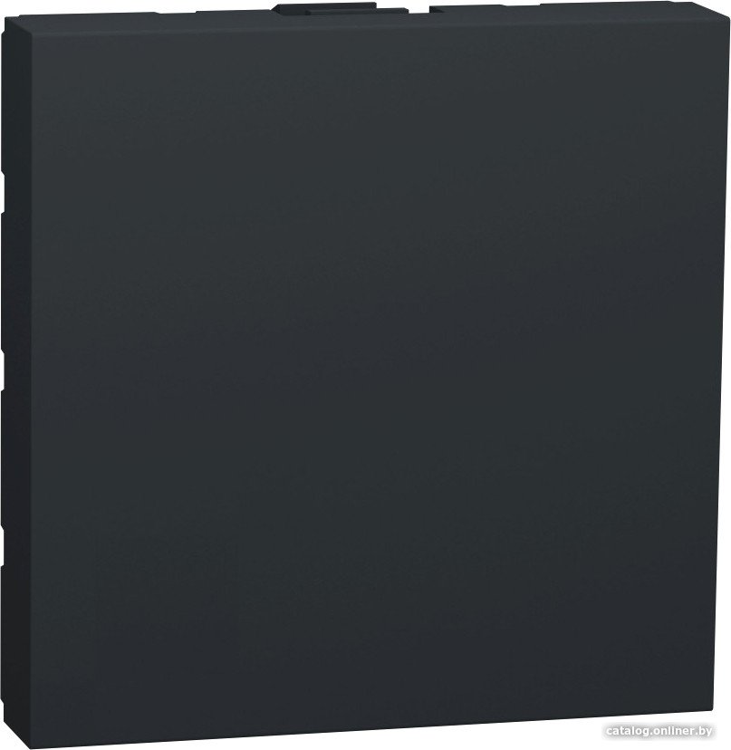 Декоративная заглушка Schneider Electric Unica NU986654