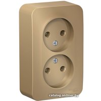 Розетка Schneider Electric Blanca BLNRA000214