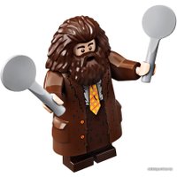 Конструктор LEGO Harry Potter 75958 Карета школы Шармбатон: приезд в Хогвартс