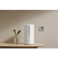 Термогигрометр Xiaomi Smart Temperature and Humidity Monitor 3 MJWSD05MMC (китайская версия)