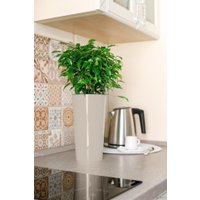 Кашпо GardenPlast Камелия 1.5 л (белый)